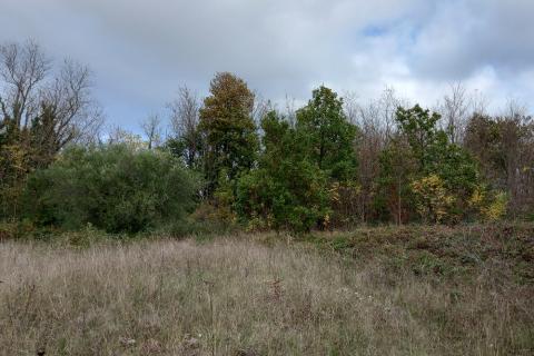 Земельный участок нестроительного назначения Krnica, Marčana, 6.736m2