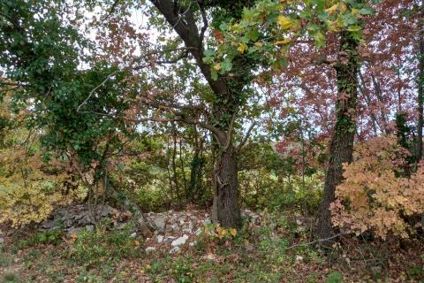 Земельный участок нестроительного назначения Krnica, Marčana, 6.736m2