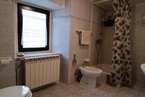 House Roč, Buzet, 405m2