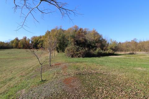 Štuti, Višnjan, 6.850m2