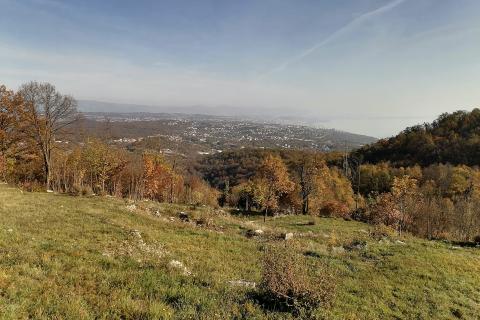 Bauland Kučeli, Matulji, 3.530m2