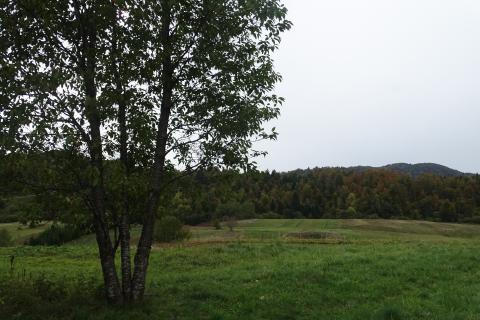 Casa Begovo Razdolje, Mrkopalj, 200m2