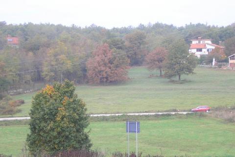 Trviž, Pazin - Okolica, 12.300m2