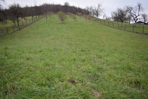 Samobor, Molvice, građevinsko zemljište 1712 m2