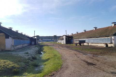 Office space Mala Buna, Velika Gorica - Okolica, 2.632m2