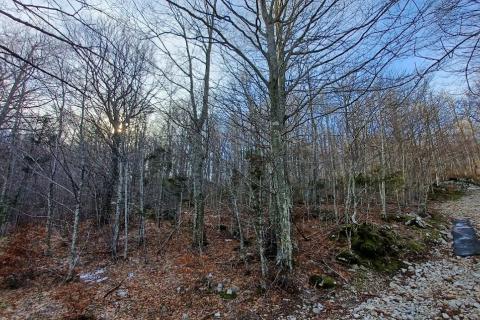 Building plot Bribir, Vinodolska Općina, 2.930m2