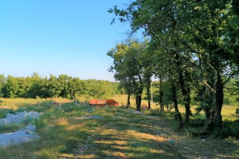 Kringa, Tinjan, 21.566m2