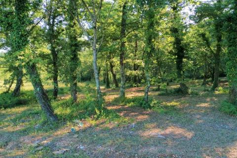 Kringa, Tinjan, 21.566m2