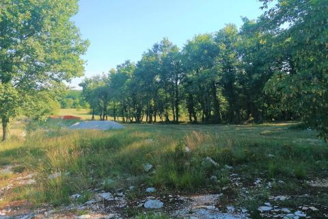 Kringa, Tinjan, 21.566m2