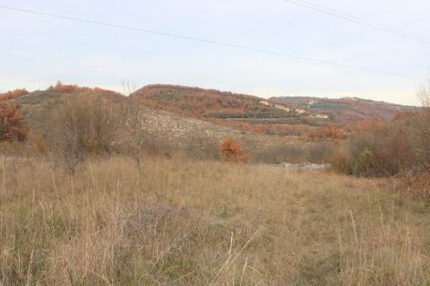 Bauland Momjan, Buje, 8.039m2
