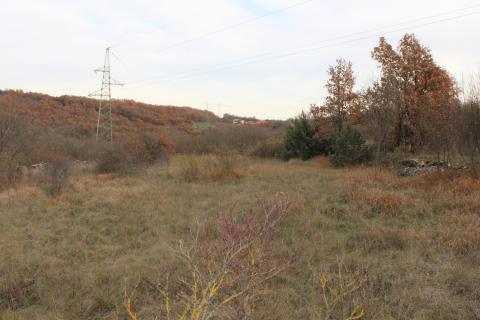 Bauland Momjan, Buje, 8.039m2