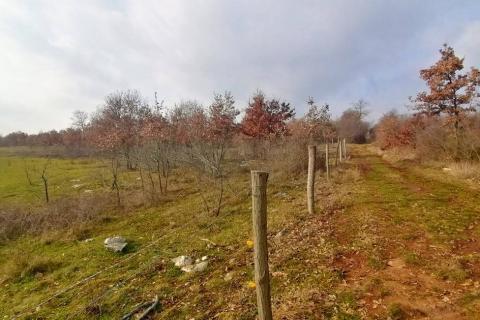 Poreč, Dračevac - Negrađevinsko zemljište 17415 m2