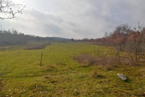 Poreč, Dračevac - Negrađevinsko zemljište 17415 m2