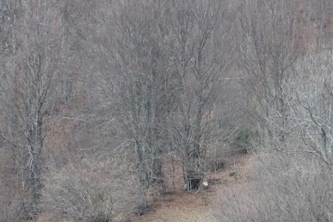 Земельный участок нестроительного назначения Sunger, Mrkopalj, 5.909m2