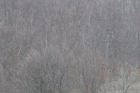 Земельный участок нестроительного назначения Sunger, Mrkopalj, 5.909m2