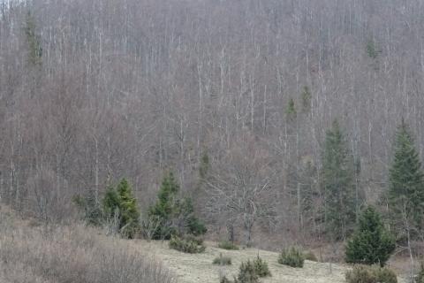 Земельный участок нестроительного назначения Sunger, Mrkopalj, 5.909m2