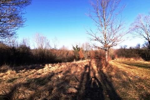 Terreno edificabile Veli Brgud, Matulji, 2.763m2