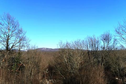 Terreno edificabile Veli Brgud, Matulji, 2.763m2