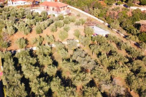 Casa Rovinjsko Selo, Rovinj, 350m2