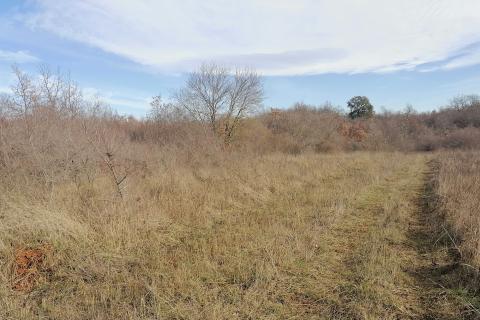 Nicht-strukturelle Land Žbandaj, Poreč, 18.045m2
