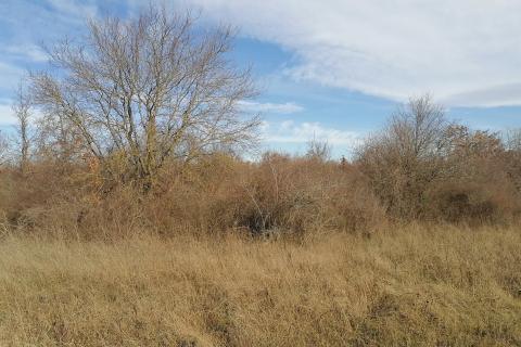 Nicht-strukturelle Land Žbandaj, Poreč, 18.045m2