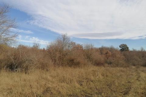 Nicht-strukturelle Land Žbandaj, Poreč, 18.045m2