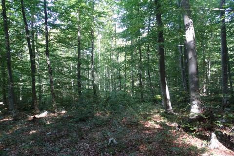 Земельный участок нестроительного назначения Sunger, Mrkopalj, 5.630m2