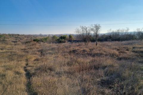 ISTRA - BALE OKOLICA - 3500 m2 GRAĐEVINSKO ZEMLJIŠTE SA KUĆOM