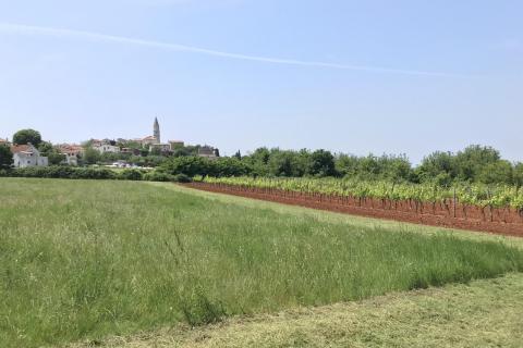 Vi&scaron;njan - građevinski teren sa pogledom na more