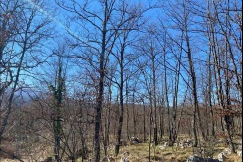 Šapjane, Matulji, 25.000m2