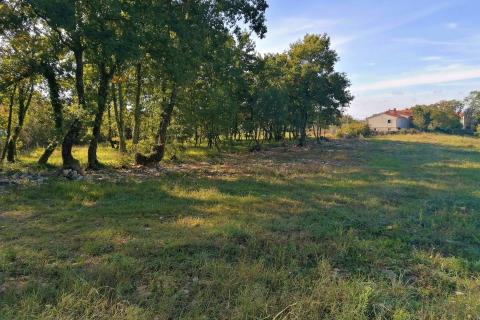 Sveti Lovreč - okolica, građevinsko i poljoprivredno zemljište na mirnoj lokaciji