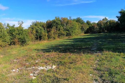Sveti Lovreč - okolica, građevinsko i poljoprivredno zemljište na mirnoj lokaciji