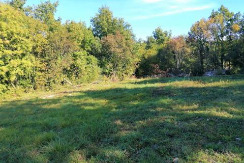 Sveti Lovreč - okolica, građevinsko i poljoprivredno zemljište na mirnoj lokaciji