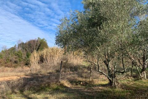 Bouwgrond, Poreč, 1.050 m²