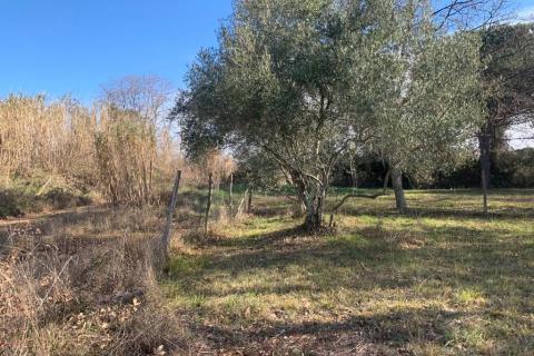 Bouwgrond, Poreč, 1.050 m²