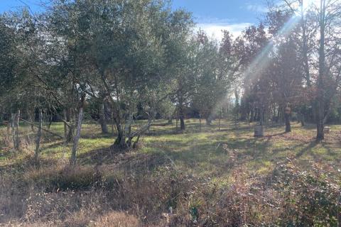 Bouwgrond, Poreč, 1.050 m²