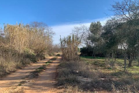 Bouwgrond, Poreč, 1.050 m²