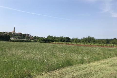 Vi&scaron;njan - građevinski teren sa pogledom na more