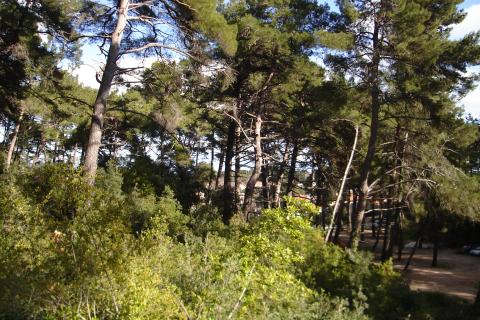 VELI LOŠINJ - građevinsko zemljište, višestambena gradnja