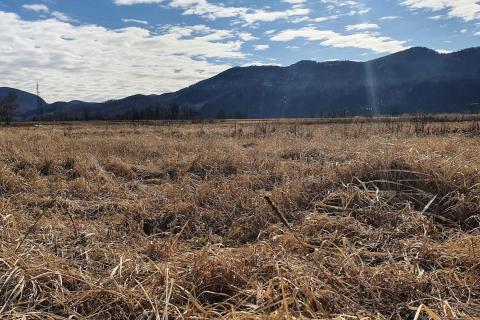 Bauland Lič, Fužine, 2,96m2