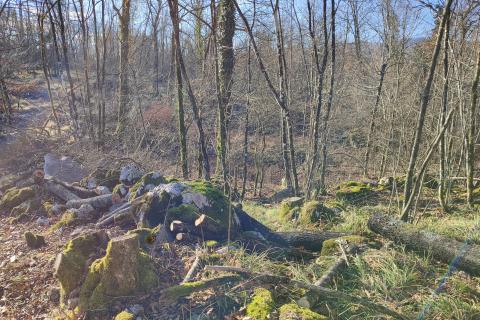 Terreno edificabile Permani, Matulji, 4.000m2