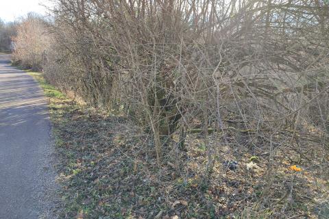 Terreno edificabile Permani, Matulji, 4.000m2