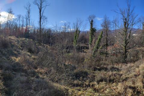 Terreno edificabile Permani, Matulji, 4.000m2