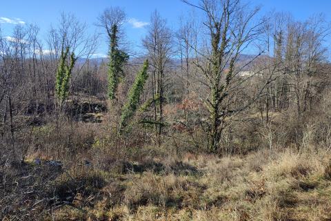 Terreno edificabile Permani, Matulji, 4.000m2