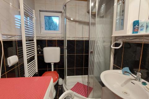 Hiša Jasenak, Ogulin, 200m2