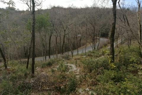 Bregi, Matulji, 2.757m2