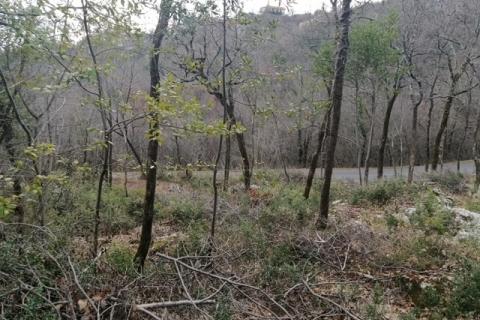 Bregi, Matulji, 2.757m2