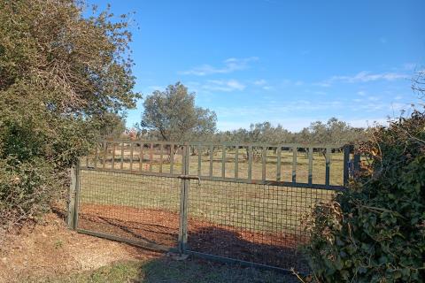 Istra, Peroj, vikend zemljište, 2.942m2