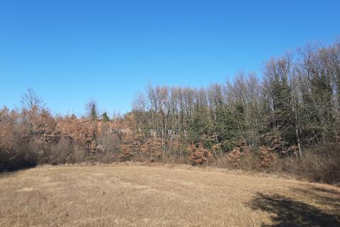 Istra, Svetvinčenat, građevinsko zemljište