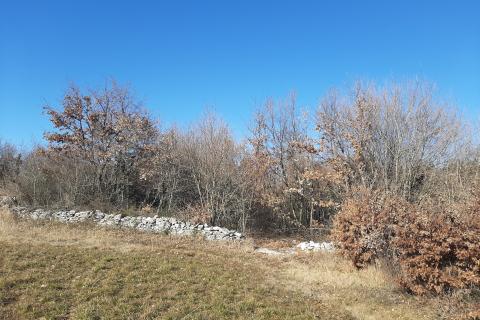 Istra, Svetvinčenat, građevinsko zemljište